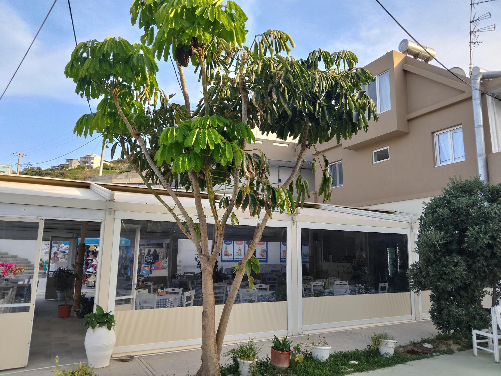 Anatoli Lygaria Apartments On The Beach Ligaria  Exteriér fotografie